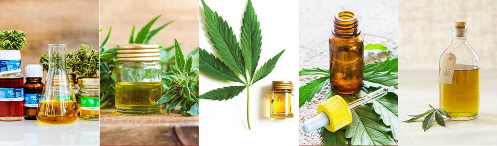 cannabis/hemp oil